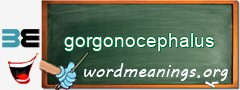 WordMeaning blackboard for gorgonocephalus